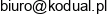 Kodual Email address