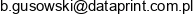 Dataprint W Likwidacji Email address