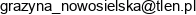 F H U Damian Nowosielski Adres e-mail