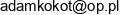 Adam Kokot Zaklad Mechaniki I Diagnostyki Pojazdowej Sc Email address