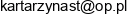 Gabinet Psychologiczny Katarzyna Brzozowiec Adres e-mail