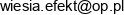 1 Efekt Biuro Obslugi Nieruchomosci Wieslawa Kaptur Janusz Kaptur Spolka Cywilna 2 Wycena Nieruchomosci Wieslawa Kaptur Rzeczoznawca Majatkowy Email address