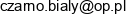 Czarnobialy Wzor Jacek Fijalkowski Adres e-mail