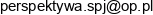 Perspektywa Garwarski Gasior Michalak Email address