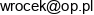 Wrocek Elzbieta Zielinska Email address