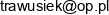 Auto Serwis Pawel Pawel Trawinski Email address