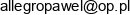 Partner Pawel Kasprzyk Email address