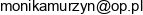 Optibiznes Email 1