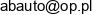 A B Auto Arkadiusz Piecyk Email address
