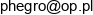 Dariusz Wacewicz Przedsiebiorstwo Handlowe Egro Skrot P H Egro Dariusz Wacewicz Email address