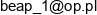 Beata Skowron F H U Skowron Pokrycia Dachowe Email address