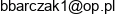 Cerber Bezpieczenstwo W Biznesie B Pater J Grochalski Email address