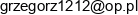 F H U Wiktor Gorniak Adres e-mail