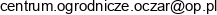 Janusz Dabek Email address