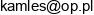 Active Body Kamil Lesniak Email address
