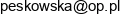 Phinance Outsouricng Rachunkowosc Podatki Agata Peskowska Adres e-mail