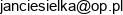 Biuro Projektowe Archi Projekt Mgr Inz Arch Jan Ciesielka Email address