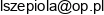 Biuro Techniczno Uslugowe Leonard Szepiola Adres e-mail
