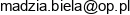 Wieslaw Biela Email address