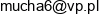 Naprawa Pojazdow Mariusz Czarkowski Email address