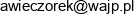 1 Andrzej Wieczorek 2 Wajp S C Andrzej Wieczorek Wspolnik Spolki Cywilnej Email address