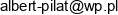 Firma Remontowo Budowlana Albert Pilat Email address