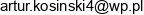 Artur Ryszard Kosinski Adres e-mail