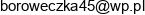 Agroturystyka Leszczynowe Zacisze Malgorzata Wisniewska Email address