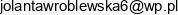 Przedsiebiorstwo Uslugowe Cleaning Jolanta Wroblewska Adres e-mail