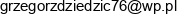 Budownictwo Drogowo Inzynieryjne Grzegorz Dziedzic Email address