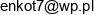 Arkadiusz Enkot Email address