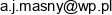Dr Agnieszka Masny Adres e-mail