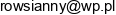C A Ryszard Owsianny Email address