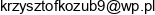 P H U Kozub Art Krzysztof Kozub Adres e-mail