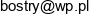 Vbo Global Email address
