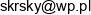 Business Consulting Team Dominik Skorski Email address