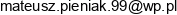 Mateusz Pieniak Uslugi Brukarskie Email address