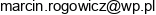 Saleskings Email address