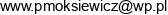 Firma Uslugowo Handlowa Piotr Moksiewicz Adres e-mail