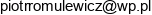 Uslugi Ogolnobudowlane Ruminex Piotr Romulewicz Email address