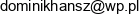 Hans Gum Uslugi Wulkanizacyjne Naprawa Samochodow Hansz Dominik Email address