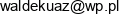 Waldex P H U Niezabitowski Waldemar Email address