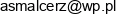 Aleksander Smalcerz Adres e-mail