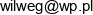1 Wilweg Marcin Wilczynski 2 Marcin Wilczynski Wspolnik Spolki Cywilnej X Drog Email address