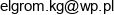 Elgrom Adres e-mail