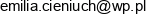 Consulting Emilia Cieniuch Luzak Email address