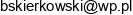 Zaklad Slusarski Skierkowski Zbigniew Adres e-mail Zaklad Slusarski Skierkowski Zbigniew Adres e-mail