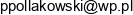Pol Mebel Pawel Pollakowski Email address