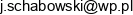 Jacek Schabowski Uslugi Wielobranzowe Precyzja Email address