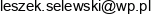 Bl Serwis Leszek Selewski Email address